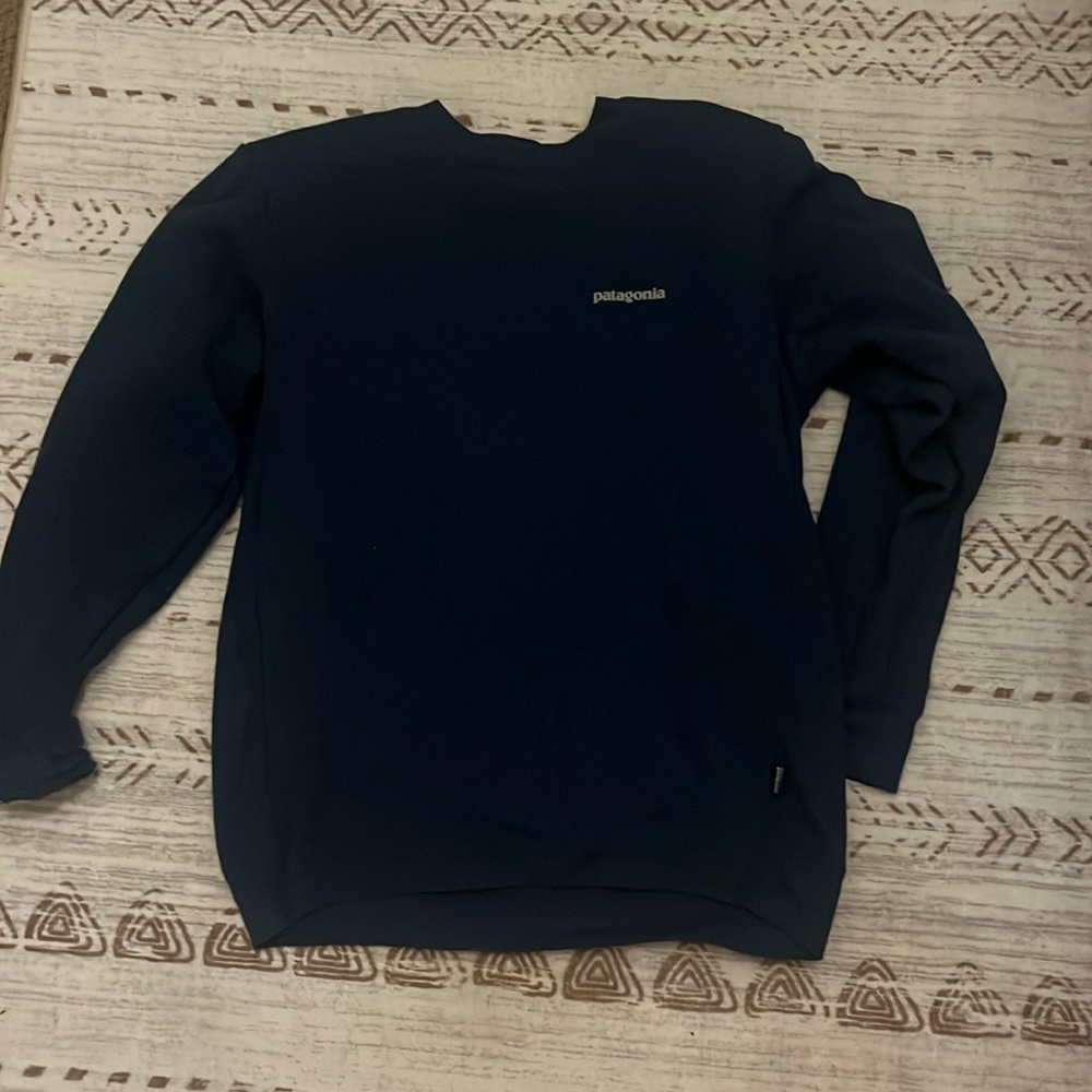 Patagonia Blue Sweatshirt, Large